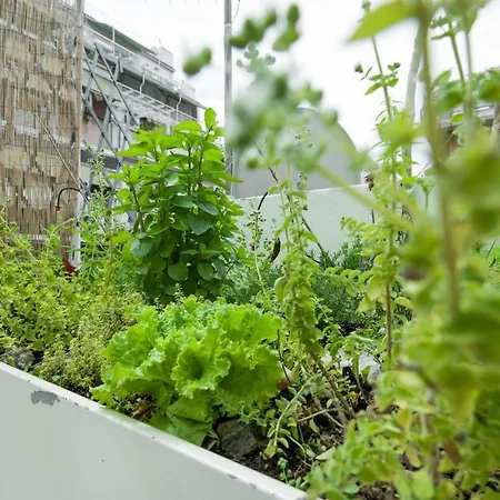 Appartamento Eco Escape Rooftop *
